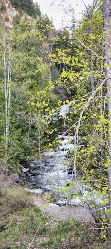 Chase Creek Falls-汤普森-尼古拉