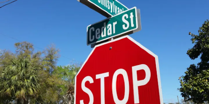 Rainbow Springs Artist Cooperative