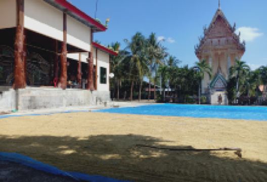 Wat Ampawan Thiyaram景点图片