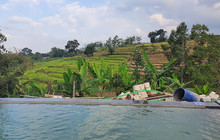 Platharan Sewu餐厅图片