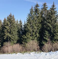 Briježđa-Municipality of Nova Varos