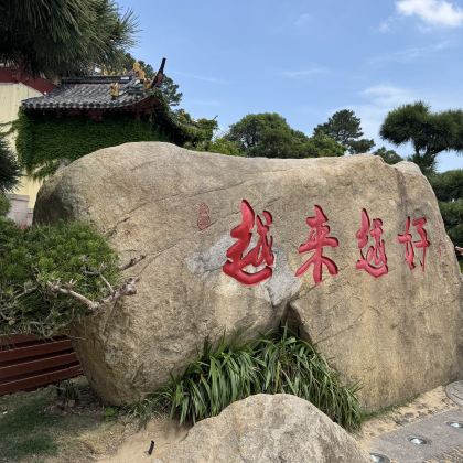 宁波+普陀山+南海观音3日2晚跟团游