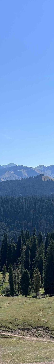 库尔德宁景区-巩留