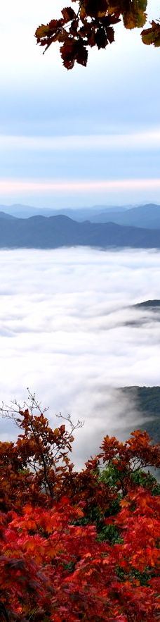 大牛沟云海-登山口-宽甸