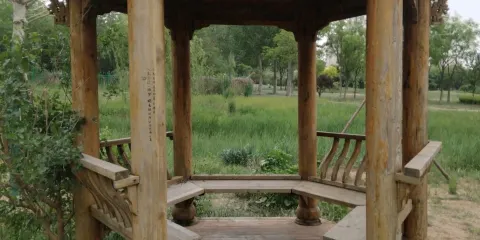 濱湖公園-軒雨亭