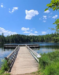 Hartwick Pines State Park-Grayling Township