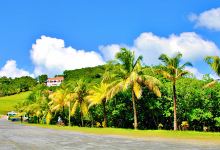 King Kong Extreme Zipline景点图片