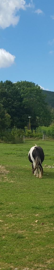 Zoo Kosice-科希策1区