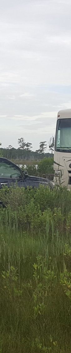 Point Lookout State Park-圣玛丽县