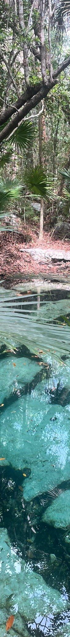 Cenote Azul-索里达瑞达德