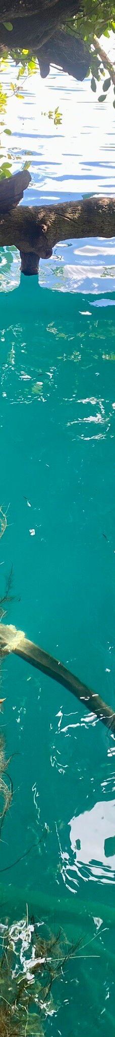 Cenote Azul-索里达瑞达德