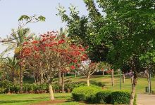 Isaac Wald Park - Kfar Saba Park景点图片