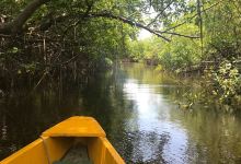 Foz do Rio Guaju景点图片