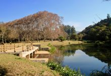 KwaZulu-Natal国家植物园景点图片