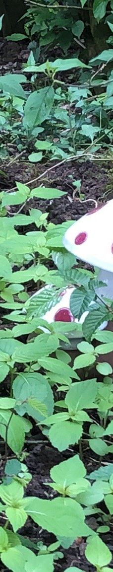 The Gardens of Appeltern-阿珀尔特伦