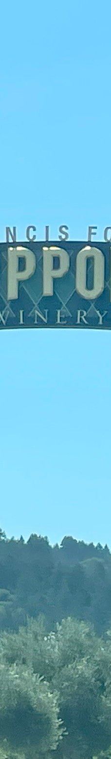 Francis Ford Coppola Winery-索诺马县