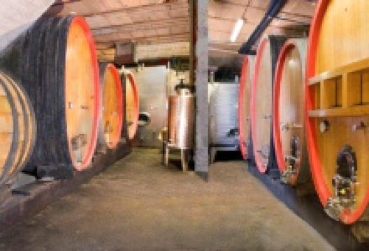 Domaine Claude et Christophe Bléger景点图片
