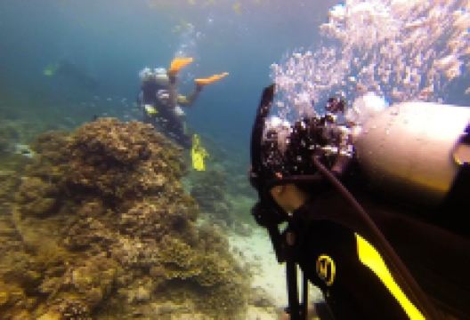 Dive Funatics购物图片