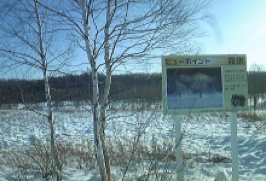 Muhyo Point景点图片