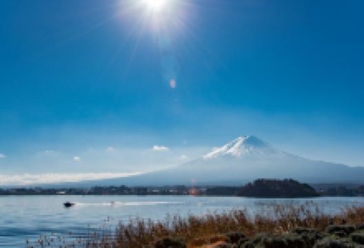 富士山博物馆景点图片