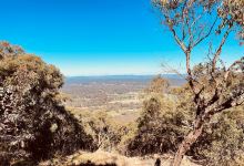 Mount Ida Lookout景点图片