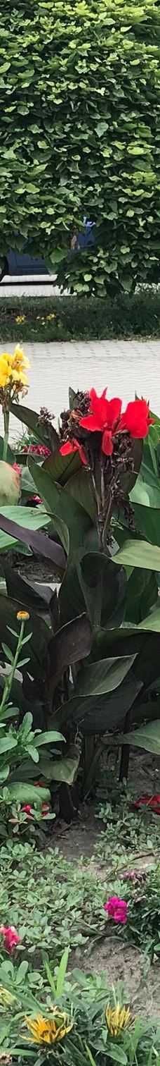 Panorama Lookout-鲍洛通维拉戈什