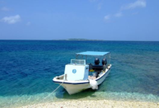 Dive One Road购物图片