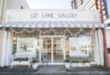 Liz Lane Gallery景点图片