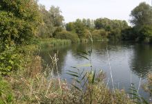 Lisdodde景点图片