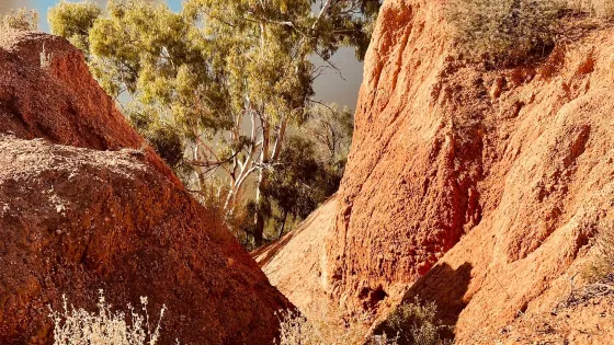Red Cliffs Scenic Reserve
