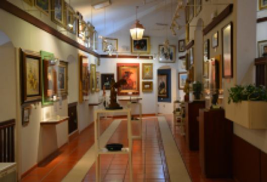 Museu João Mário景点图片