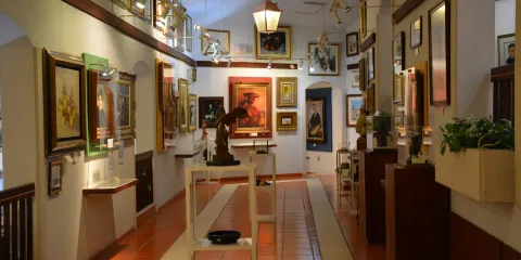 Museu João Mário
