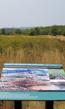 Jackson-Frazier Wetlands-本顿县