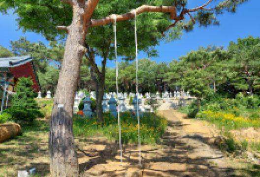 Jijangjeongsa Temple景点图片