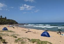 Coledale Beach Reserve景点图片
