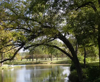 Firemens Park