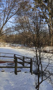 Park-Zhytomyrs'ka city council