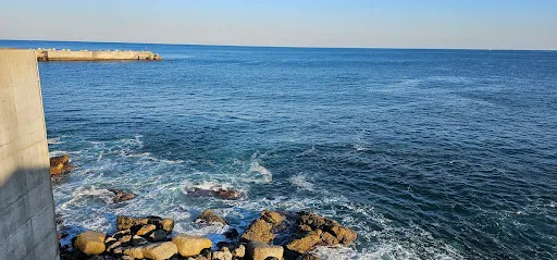 峯港