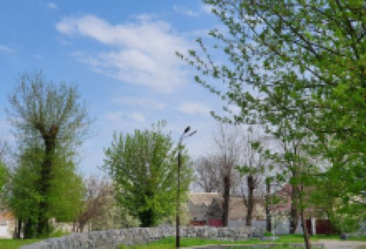 Novooleksandrivsʹkyy Park景点图片