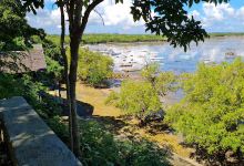 Buena Marga Woodland Beach Resort景点图片