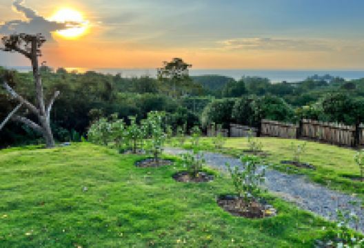 Long & Ti House景点图片