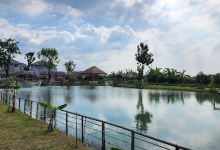 ฟาร์มลุงอ้วน by Farmer Surfer ชาวนาบ้าคลื่น景点图片