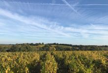Domaine du Petit Coirant景点图片