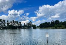 Taneytown Duck Pond景点图片