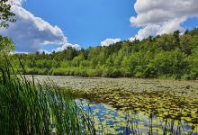 Sutschketal景点图片