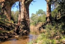 Picton Avenue Reserve景点图片