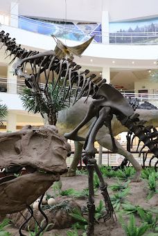 MTA Genel Müdürlüğü Şehit Cuma Dağ Tabiat Tarihi Müzesi-安卡拉