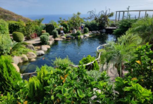 Ilha das Aves Madeira Lda景点图片