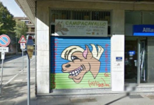 Campacavallo GROWSHOP购物图片