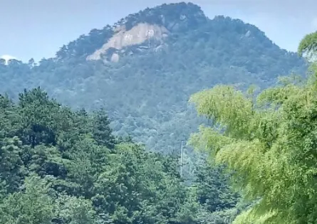 挪步園避暑勝地